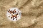 Vorbestellung * Whimsical Deer - Eigenproduktion - 2